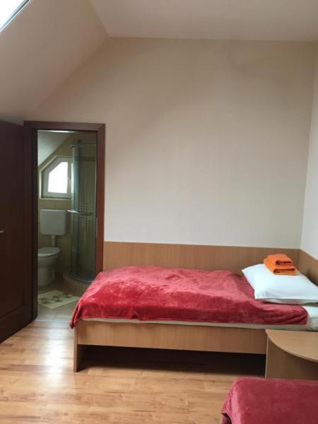 Hotel Napfeny Panzio Es Rendezvenyhaz Kecskemét Exterior foto